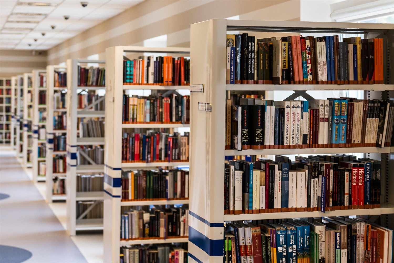 Books in the Library